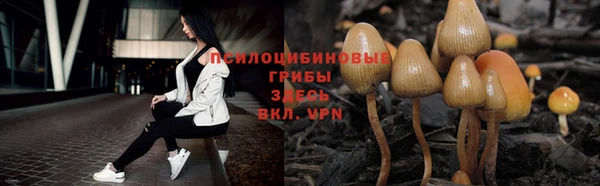 spice Армянск