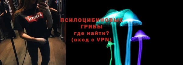 спайс Аркадак