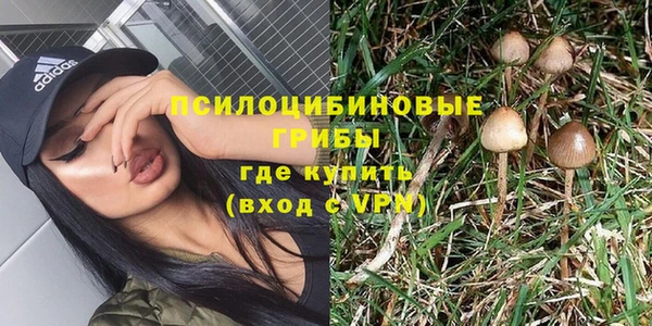 спайс Аркадак